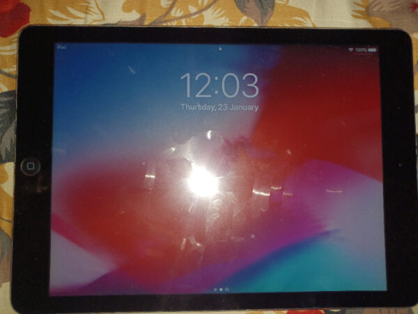 Apple iPad Air 2 Gray Other Other
