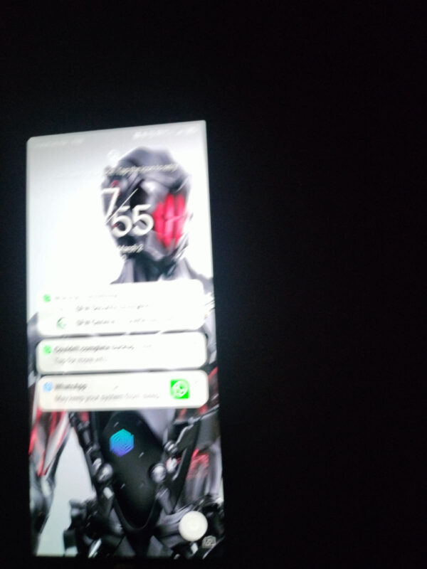 Other Nubia Red Magic 8S Pto Black 256GB