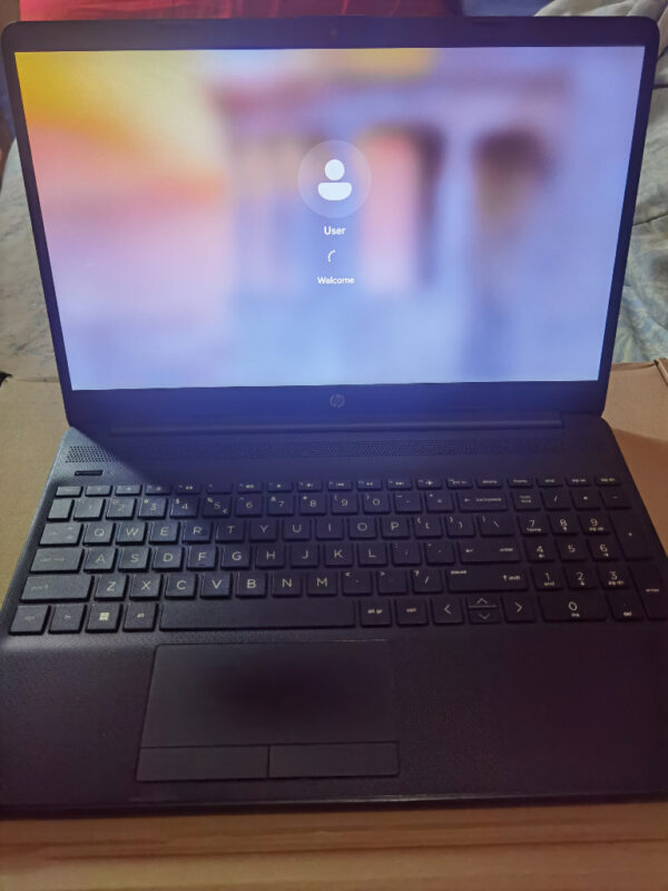 HP HP 15-dw3xxx Intel Core I3 11th Generation Black 128GB Intel 8GB