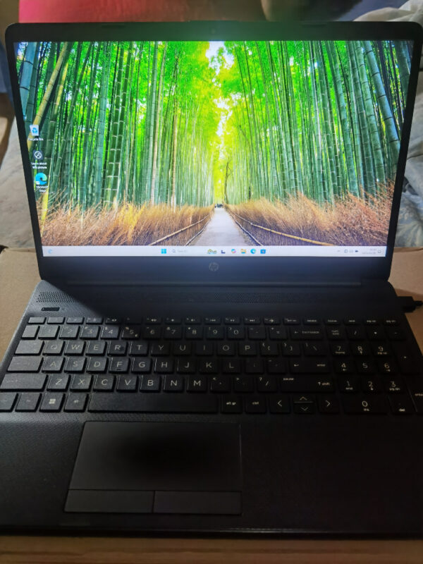 HP HP 15-dw3xxx Intel Core I3 11th Generation Black 128GB Intel 8GB
