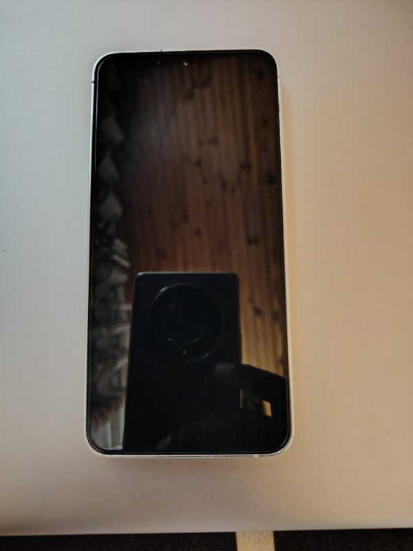 Samsung Samsung S24 Silver 256GB