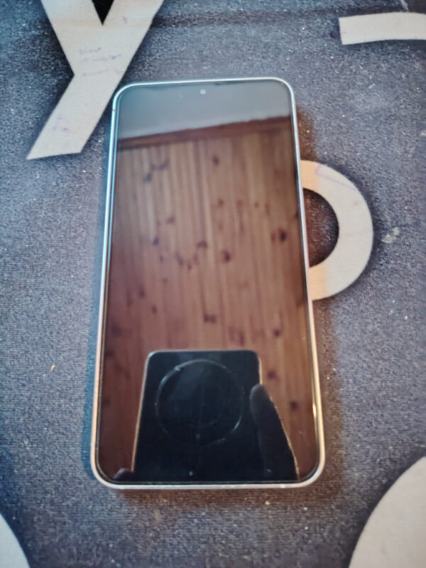Samsung Samsung S24 Silver 256GB