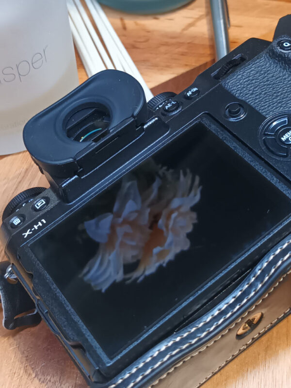 Fujifilm X-H 1 24MP 2160p (4K UHD)